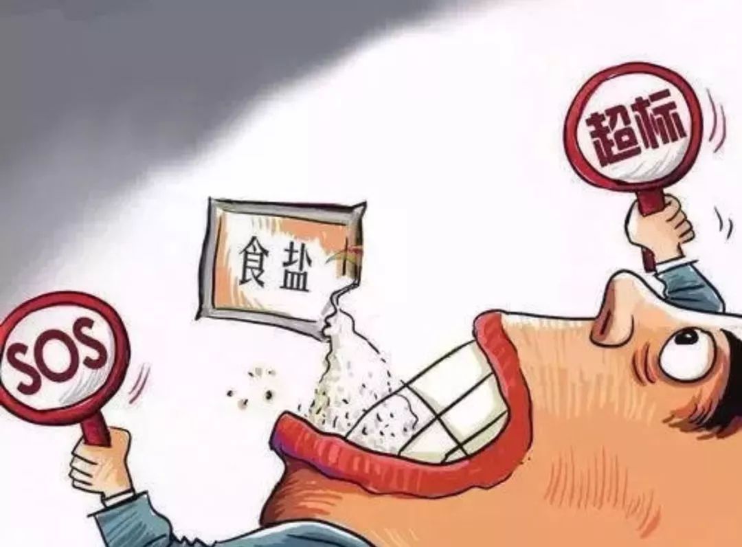 高血壓膳食營(yíng)養(yǎng)管理 餐飲防治精華指南